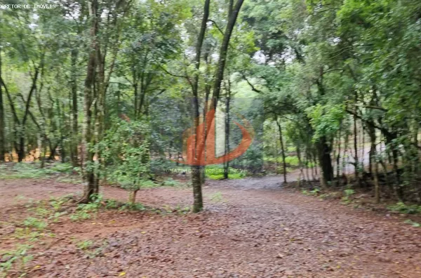 Chácara para Venda em Pato Branco / PR no bairro Zona Rural - Foto 20