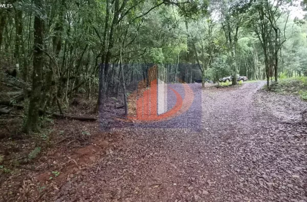 Chácara para Venda em Pato Branco / PR no bairro Zona Rural - Foto 21