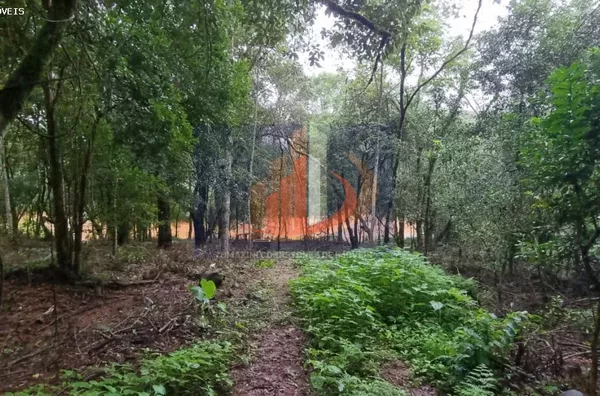 Chácara para Venda em Pato Branco / PR no bairro Zona Rural - Foto 16