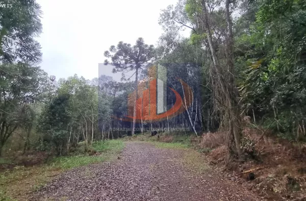 Chácara para Venda em Pato Branco / PR no bairro Zona Rural - Foto 17