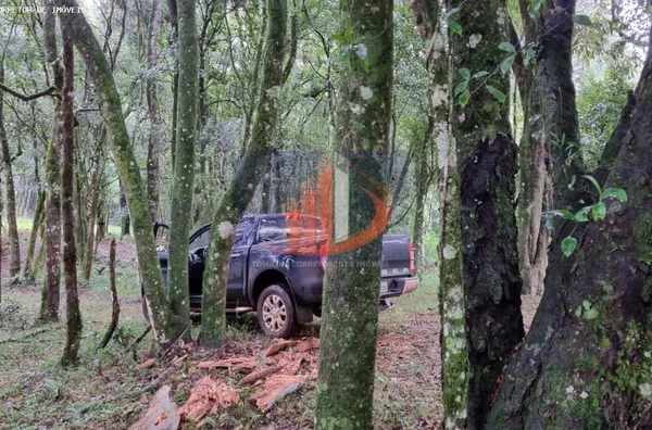 Chácara para Venda em Pato Branco / PR no bairro Zona Rural - Foto 18