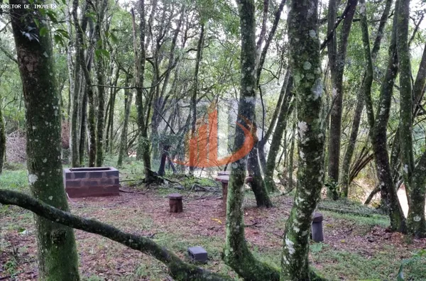Chácara para Venda em Pato Branco / PR no bairro Zona Rural - Foto 19