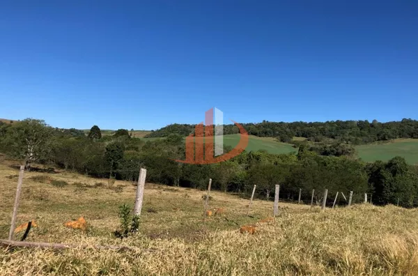 FAZENDA 211,19 ALQUEIRES EM LARANJEIRAS DO SUL/PR - Foto 13
