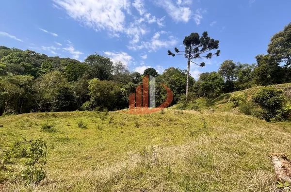 CHÁCARA COM 2,5 ALQUEIRES À VENDA EM VITORINO/PR - Foto 13