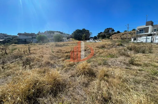 TERRENO COM 541m² NO BAIRRO LA SALLE A VENDA EM PATO BRANCO/PR - Foto 6