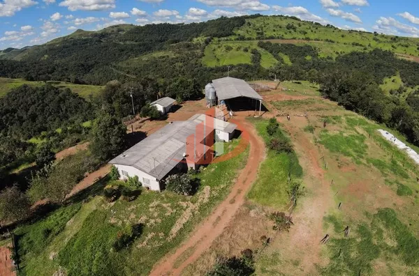 FAZENDA COM 200 ALQUEIRES - Foto 7