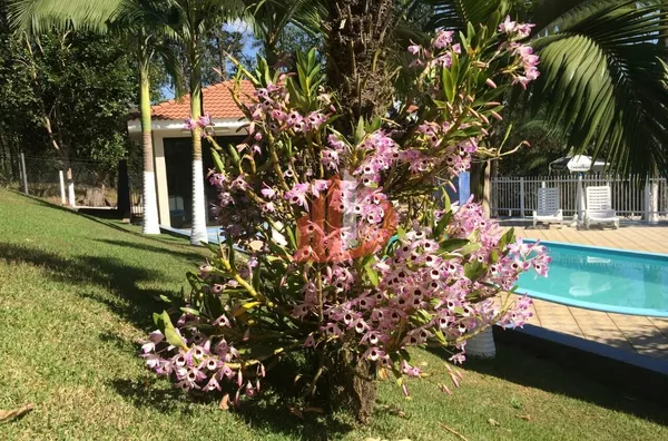 CHÁCARA PARA VENDA COM LOCALIZADA EM PATO BRANCO/PR - Foto 22