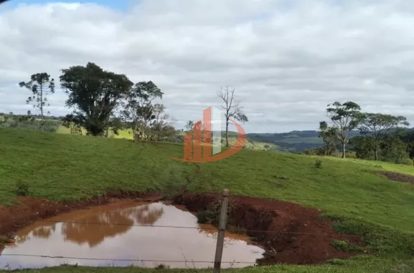 VENDE-SE FAZENDA A 13KM DA CIDADE DE GUARANIAÇU! - Foto 12