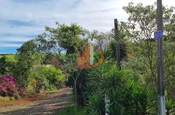 CHÁCARA COM 20 MIL m² Á VENDA EM PATO BRANCO/PR - Foto 4