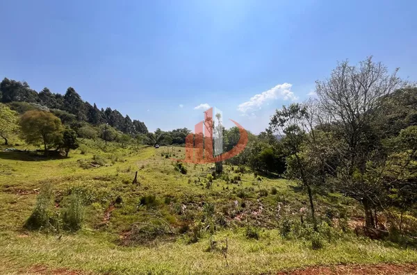 CHÁCARA COM 2,5 ALQUEIRES À VENDA EM VITORINO/PR - Foto 14