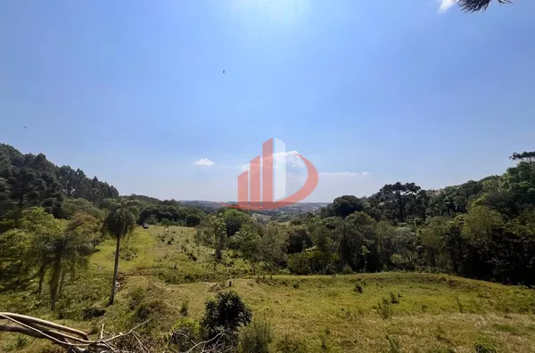 CHÁCARA COM 2,5 ALQUEIRES À VENDA EM VITORINO/PR - Foto 17