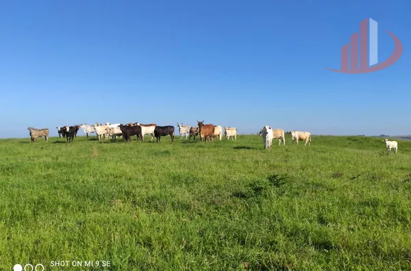 Fazenda para Venda em Campo Erê / SC no bairro Zona Rural