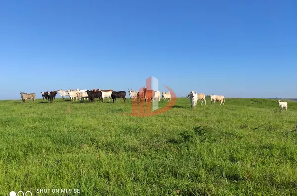 Fazenda para Venda em Campo Erê / SC no bairro Zona Rural