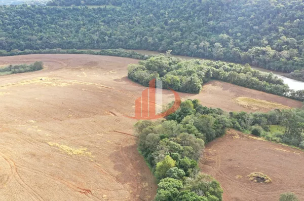 FAZENDA PRÓXIMA A PATO BRANCO PARA VENDA - Foto 29