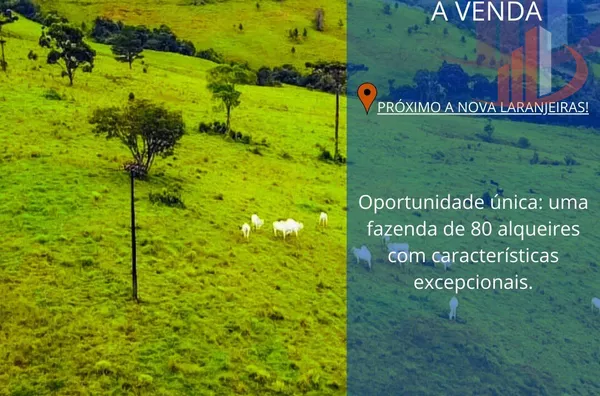 VENDE-SE FAZENDA PRÓXIMO A NOVA LARANJEIRAS!