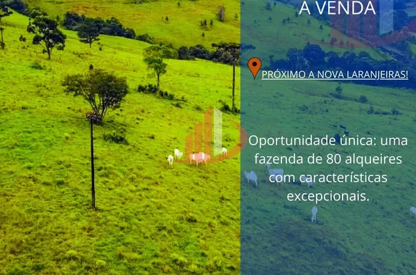 VENDE-SE FAZENDA PRÓXIMO A NOVA LARANJEIRAS!