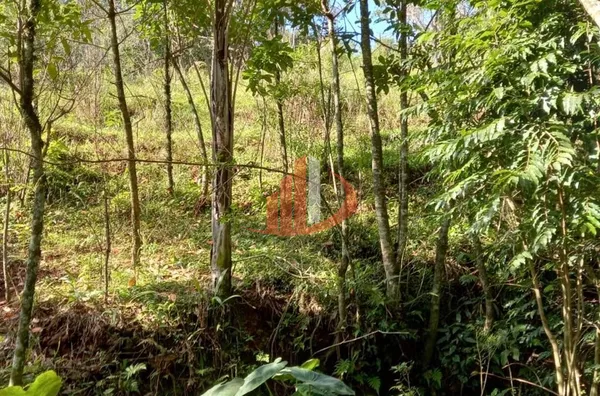 CHÁCARA COM 2,5 ALQUEIRES À VENDA EM VITORINO/PR - Foto 43