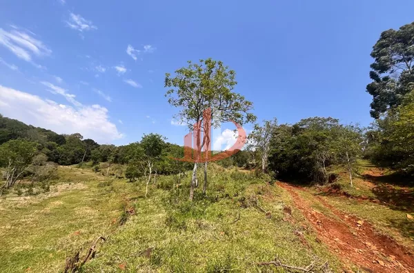 CHÁCARA COM 2,5 ALQUEIRES À VENDA EM VITORINO/PR