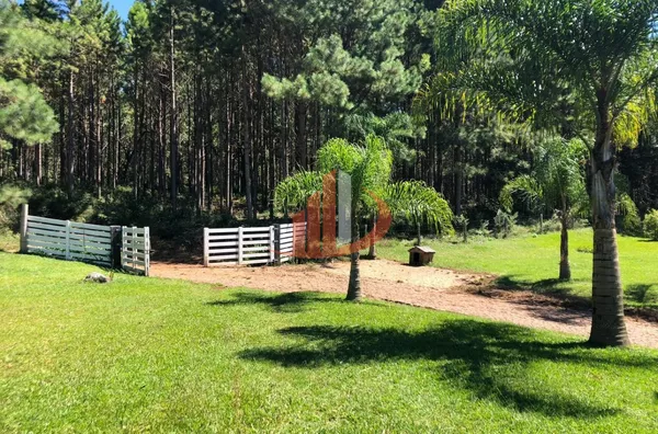 FAZENDA COM 33 ALQUEIRES NO INTERIOR DO PARANÁ - Foto 2