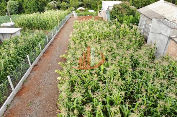 CHÁCARA COM 1200m² PRÓXIMO A ÁREA URBANA EM PATO BRANCO/PR - Foto 25