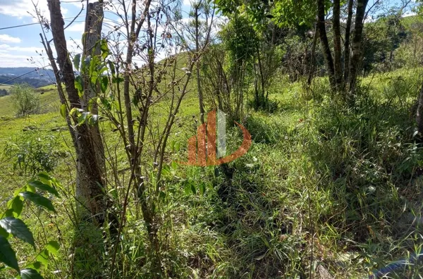 CHÁCARA COM 2,5 ALQUEIRES À VENDA EM VITORINO/PR - Foto 41
