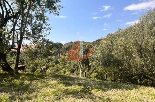 CHÁCARA COM 2,5 ALQUEIRES À VENDA EM VITORINO/PR - Foto 9