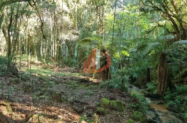 CHACARA PARA VENDA EM PATO BRANCO - Foto 15