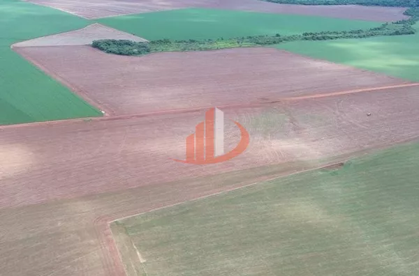 FAZENDA COM 860 HECTARES EM MATO GROSSO DO SUL - Foto 9