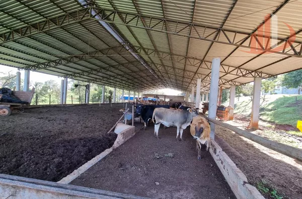 BARRACÃO PARA LOCAÇÃO DE 21X53M²