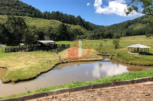 FAZENDA COM 33 ALQUEIRES NO INTERIOR DO PARANÁ - Foto 9