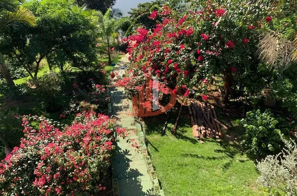 CASA PARA LOCAÇÃO NO ALAGADO DE CRUZEIRO DO IGUAÇU/PR - Foto 12