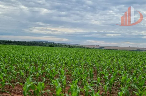 FAZENDA COM 400 ALQUEIRES (LEIA A DESCRIÇÃO)