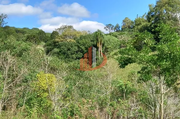 CHÁCARA COM 2,5 ALQUEIRES À VENDA EM VITORINO/PR - Foto 38