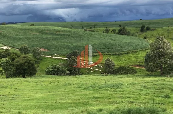 FAZENDA COM 1.234,62 HECTARES DE ALTA RENTABILIDADE! - Foto 21