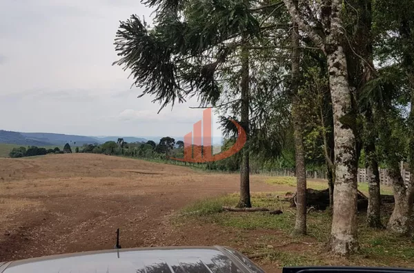 FAZENDA 200 ALQUEIRES REGIÃO SUDOESTE DO PARANÁ - Foto 30