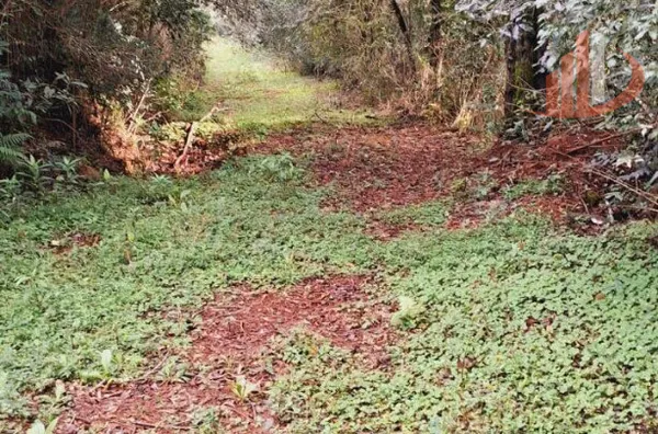 Imóveis rurais para venda,  área Rural De Pato Branco, Pato Branco