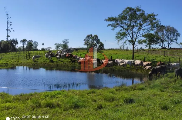 Fazenda para Venda em Campo Erê / SC no bairro Zona Rural - Foto 5