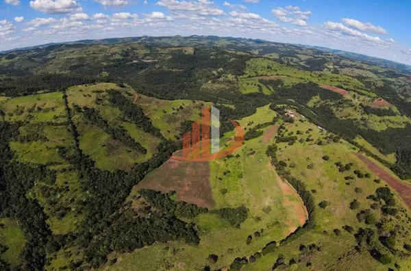 FAZENDA COM 200 ALQUEIRES 