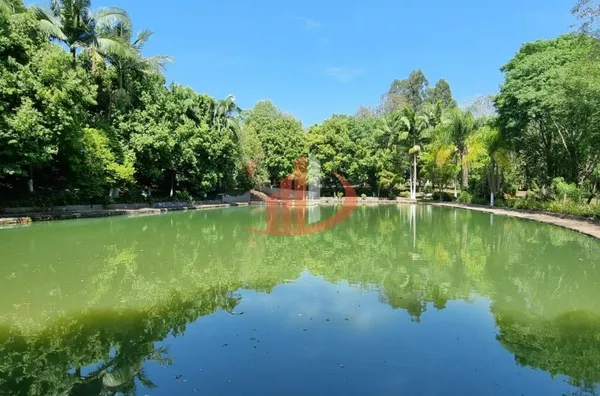 CHÁCARA PARA VENDA COM LOCALIZADA EM PATO BRANCO/PR - Foto 29