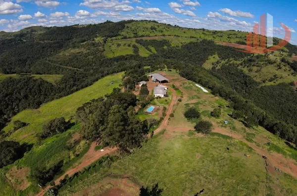 FAZENDO 200 ALQUEIRES NO PARÁ