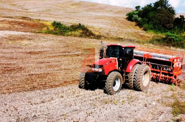 VENDE-SE UMA BELÍSSIMA ÁREA DE TERRA EM NOVA LARANJEIRAS!