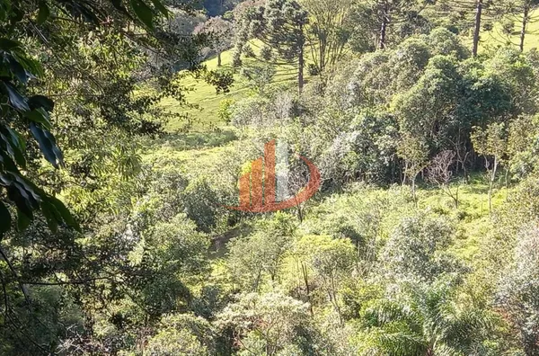 CHÁCARA COM 2,5 ALQUEIRES À VENDA EM VITORINO/PR - Foto 49