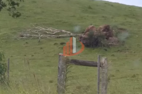 VENDE-SE FAZENDA A 13KM DA CIDADE DE GUARANIAÇU! - Foto 32