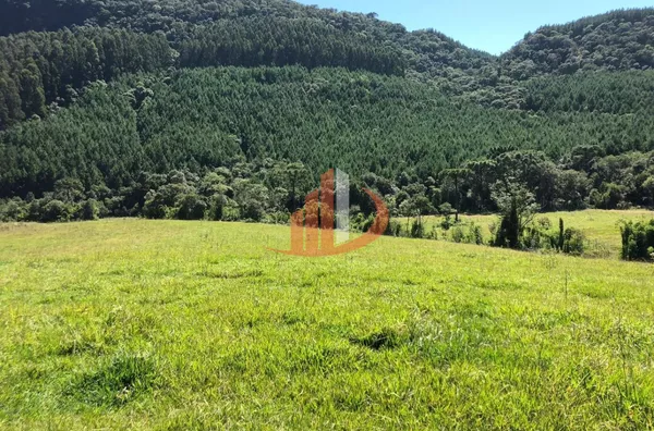 FAZENDA COM 33 ALQUEIRES NO INTERIOR DO PARANÁ - Foto 5