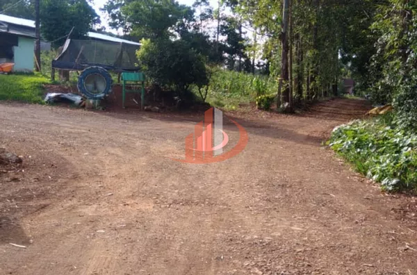Aviário para venda, - Selecione - Bairro, Pato Branco - Foto 8