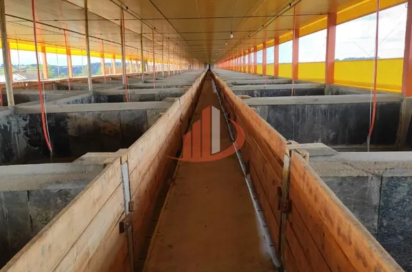 Fazenda para Venda em Campo Erê / SC no bairro Zona Rural - Foto 7