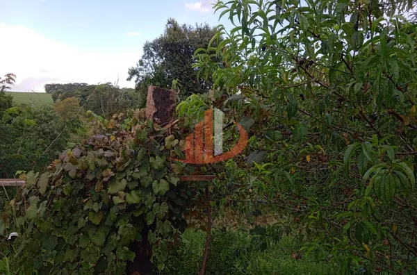 CHÁCARA COM 6751m² EM BOM SUCESSO DO SUL/PR - Foto 9