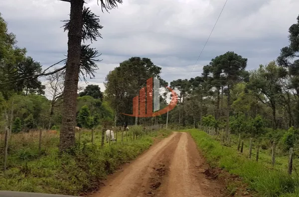 FAZENDA 200 ALQUEIRES REGIÃO SUDOESTE DO PARANÁ - Foto 14