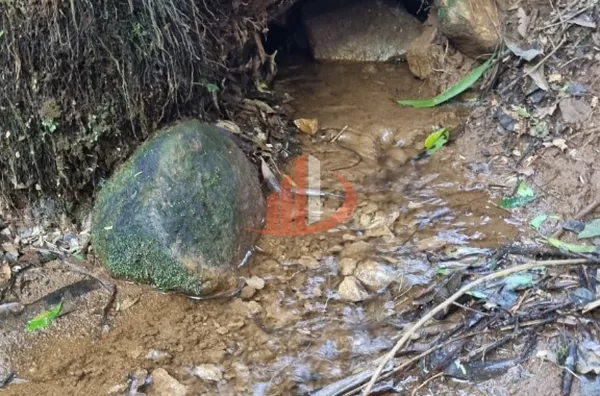 CHACARA PARA VENDA EM PATO BRANCO - Foto 8
