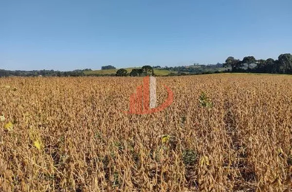 FAZENDA EM PALMAS NO PARANÁ - Foto 8